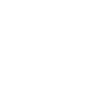 Rabotnik228's emblem