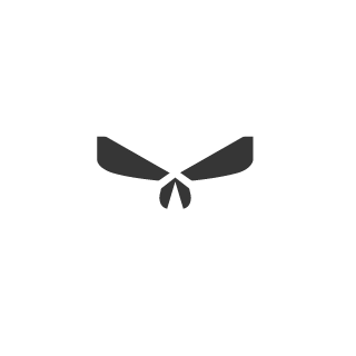 Persian30ldier's emblem