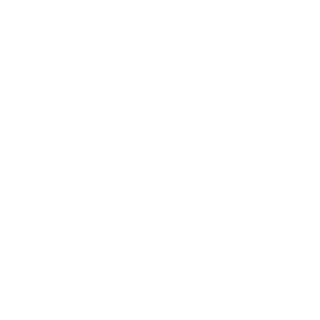 NIC20130's emblem
