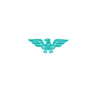 Kauan480's emblem