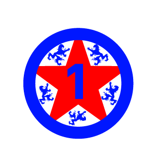 FriedBoxes's emblem