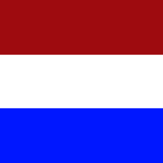 T13s-NL's emblem
