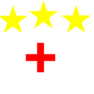 mixedsword's emblem