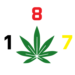 o0n0n4m30o's emblem