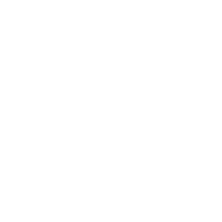 WillyCraftman's emblem