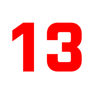 13_RoNiN's emblem