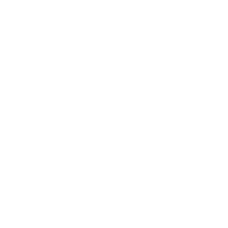 DragonOfSands's emblem