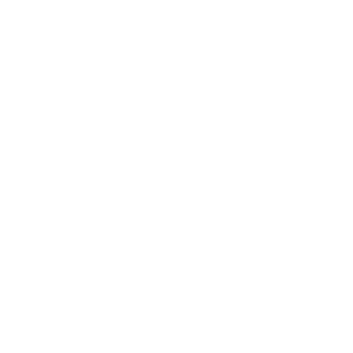 Bottlenoze's emblem
