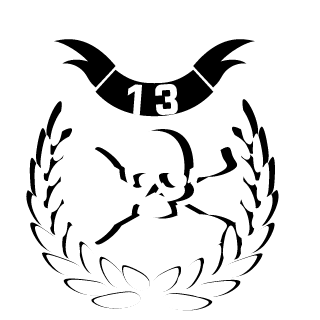 Terminatox13's emblem