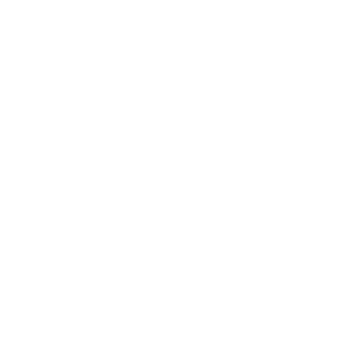 Snyf_tam's emblem