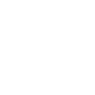bonemaster117's emblem