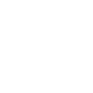 The_King_702's emblem