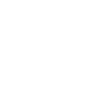 AnotherAmer1can's emblem
