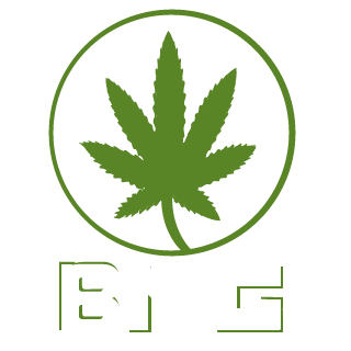 Anonymous GAMING's emblem