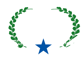 7shiningstar's emblem