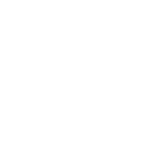 minimullet95's emblem
