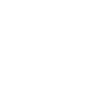 141st_EagleTurk's emblem