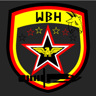 SALU81's emblem