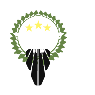 InCoNNu BE's emblem