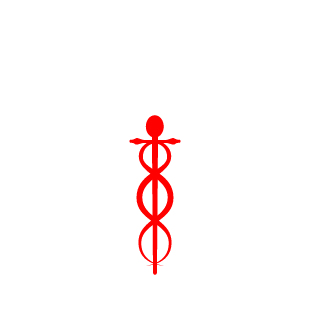 SaltySack412's emblem