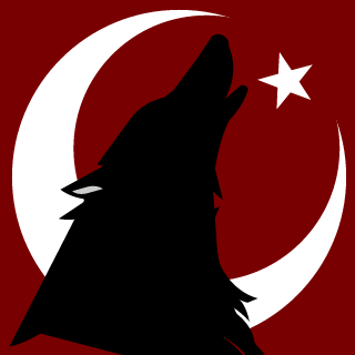 CccTurkishPower1's emblem