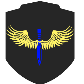 Ruinationn's emblem