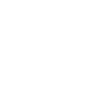 1SANE1's emblem