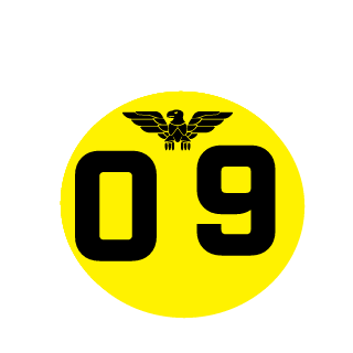 TWfire333's emblem