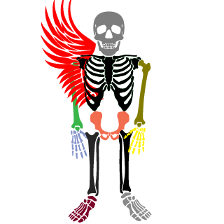 AwenLI's emblem