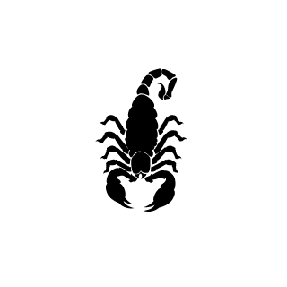 shafeevnew's emblem