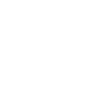 CapinonX's emblem