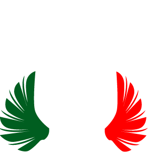 daniboy41's emblem