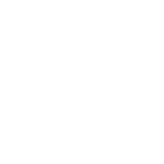 Duh_General's emblem