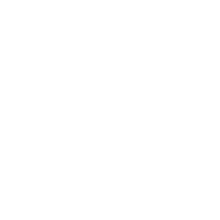 Vic3nt3king1's emblem