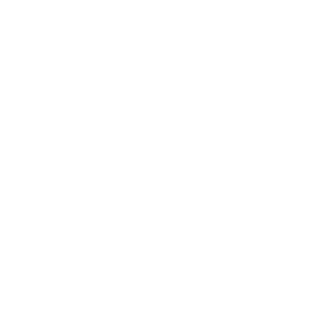 bicstonks's emblem