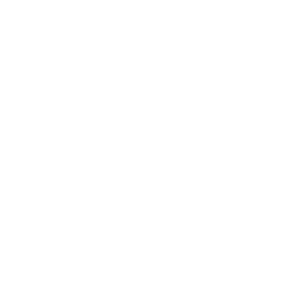 MoonBaseEcho79's emblem