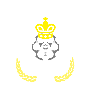 30FURY's emblem