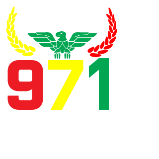 louloux971's emblem