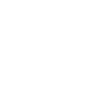 DrifterRise's emblem