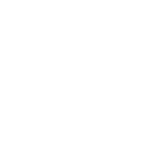 piciu4876's emblem