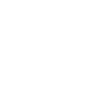 SolidOtt3r's emblem