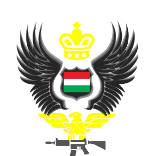 Pokol80's emblem