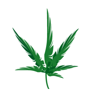 Synyster7fold05's emblem