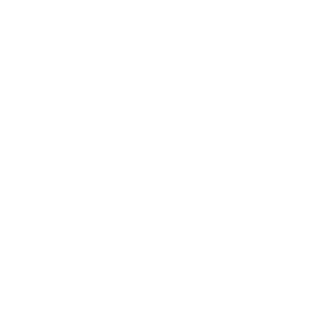 Dmitry_Ignatov's emblem