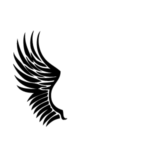 13943120159's emblem