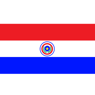 ParaguaGames's emblem