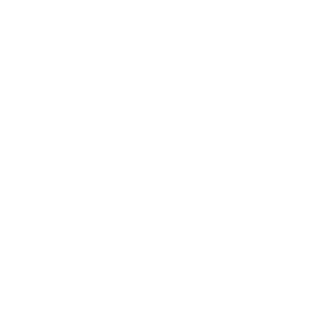 apyh's emblem