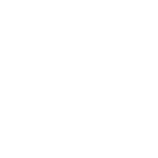 Dundii1's emblem