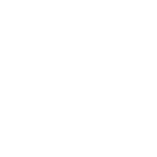 17_KingLebron's emblem