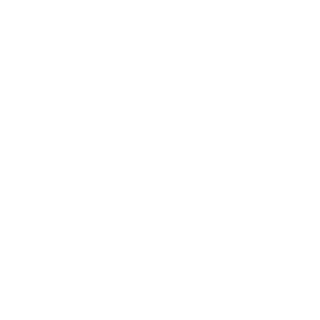 PohotlivyiTestom's emblem